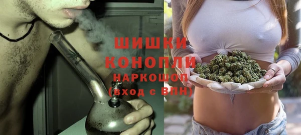 шишки Абинск