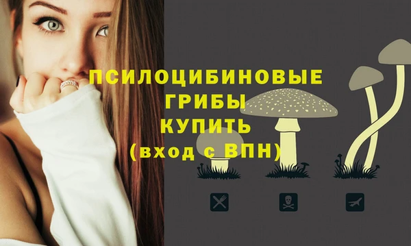 кристаллы Абаза