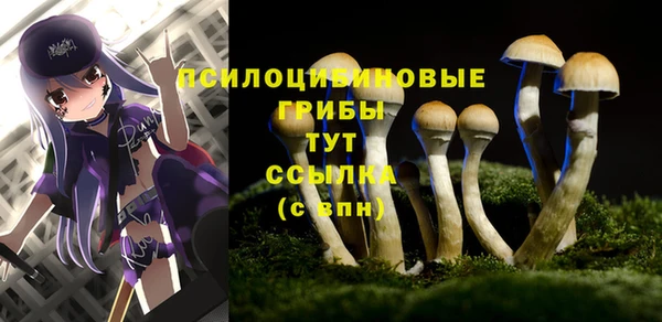 шишки Абинск
