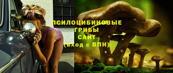 мяу мяу мука Абдулино